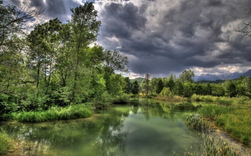 Image green trees beside river under cloudy sky during daytime