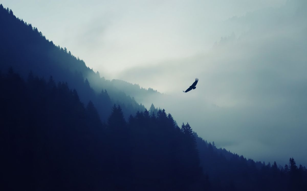 Tablet, Cloud, Atmosphäre, Vogel, Piste. Wallpaper in 3840x2400 Resolution