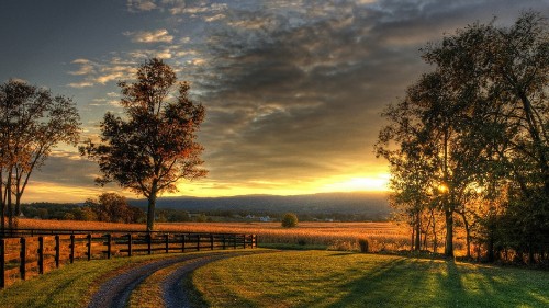 Image green grass field near trees under cloudy sky during daytime