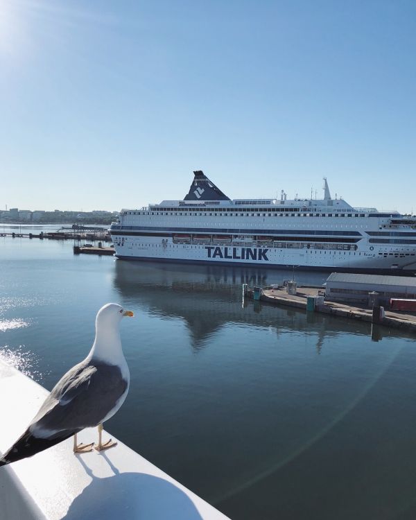 Türkischer Flughafen, Fähre, Wasser-Transport, Wasser, Motor Schiff. Wallpaper in 1080x1350 Resolution
