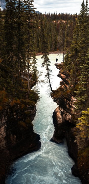 Image Athabasca Falls, body of water, nature, water, water resources