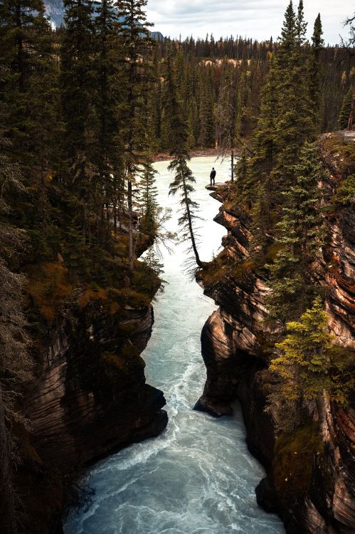 Athabasca Falls, Cuerpo de Agua, Naturaleza, Agua, Los Recursos de Agua. Wallpaper in 3629x5444 Resolution