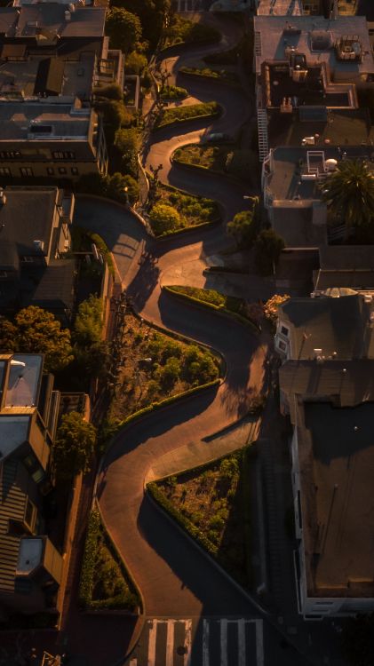 Parc du Château D'Odawara, Le Golden Gate Park, le Parc National de Yosemite, Bâtiment, Design Urbain. Wallpaper in 1545x2749 Resolution