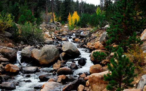 Image rocky river with rocks and trees