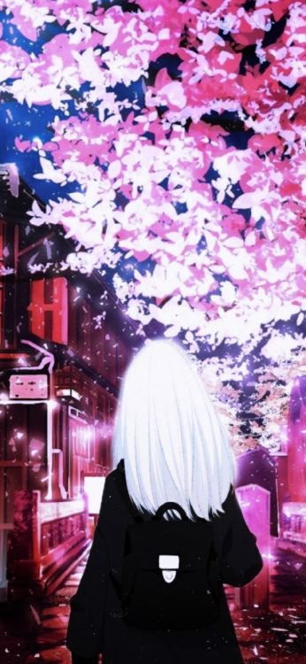 Wallpaper Anime, Animegirl, Cherry Blossom, Blossom, Tree, Background -  Download Free Image