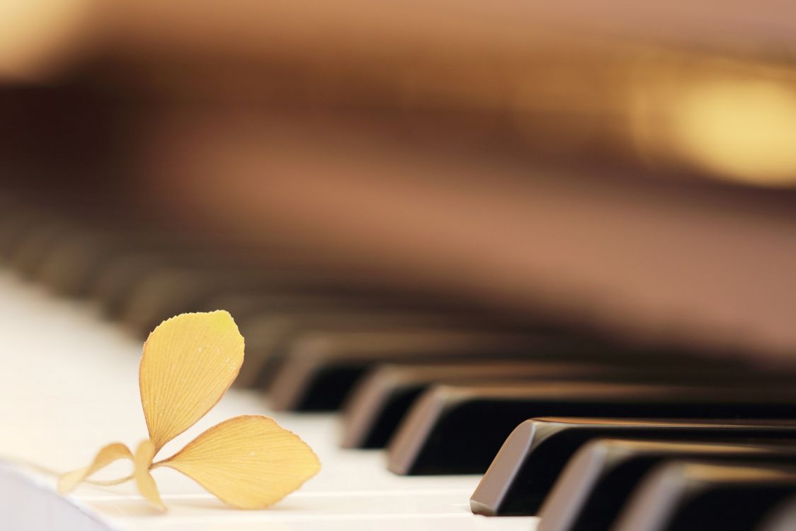 Piano, Clavier, Instrument de Musique, Clavier Musical, Tristesse. Wallpaper in 2573x1716 Resolution
