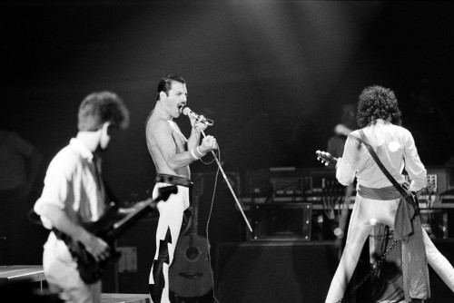 Image Freddie Mercury, queen, performance, entertainment, music