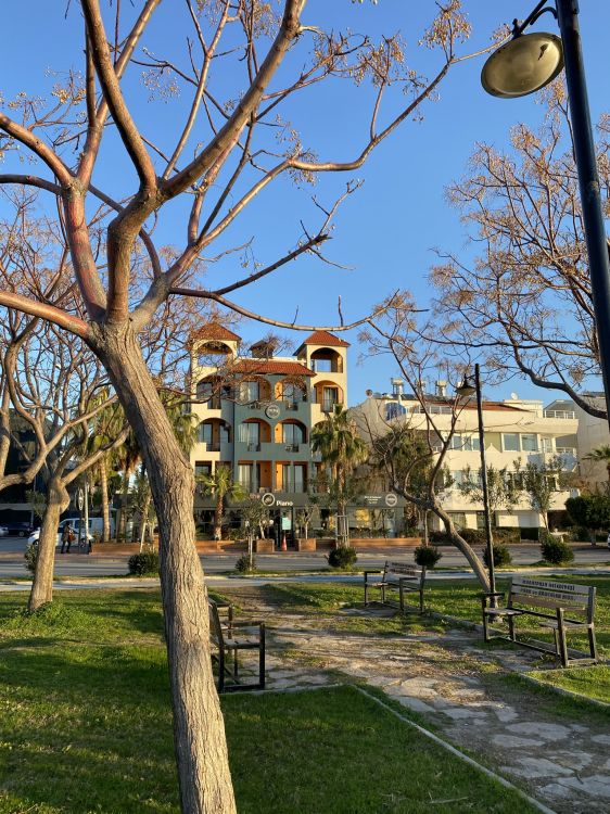 Edificio, Propiedad, Ventana, la Luz de Calle, Sucursal. Wallpaper in 1536x2048 Resolution