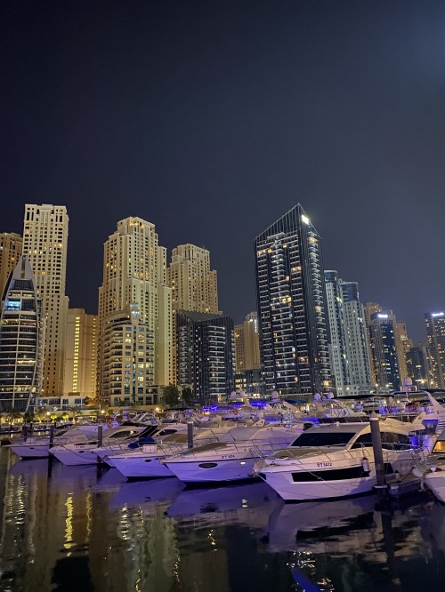 Image dubai, Dubai Marina, cityscape, tower block, metropolis