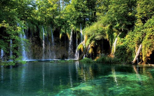 Image green water falls with green trees