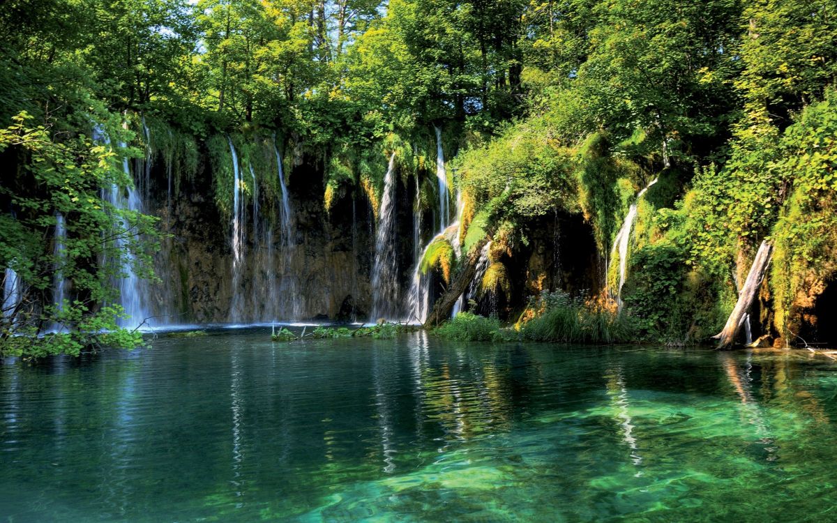 green water falls with green trees