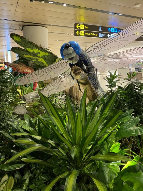 Azul Majorelle, Planta, Biología, Ciencia, Planta Terrestre. Wallpaper in 1536x2048 Resolution