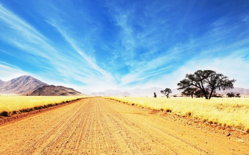 Image brown field under blue sky during daytime