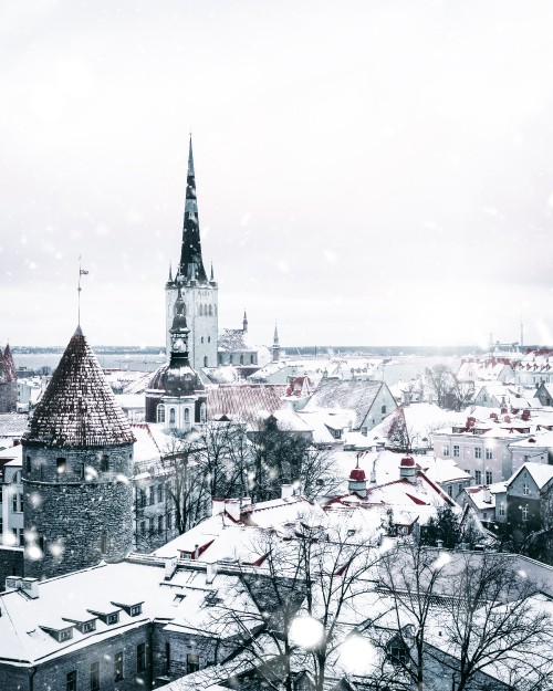 Image houses covered with snow during daytime