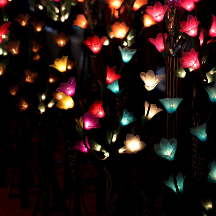 garland, flower, lighting, light, christmas lights