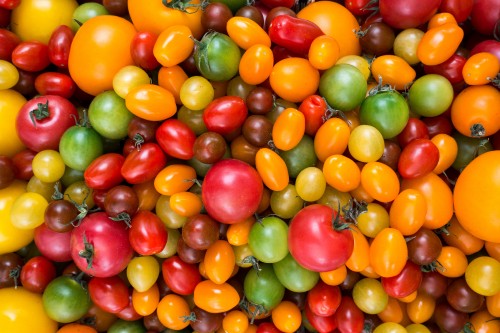 Image green and red round fruits