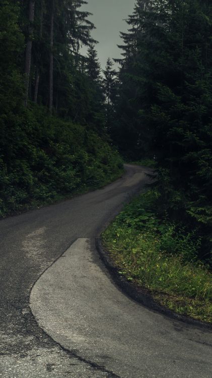 Chemin, Surface de la Route, Paysage Naturel, Asphalt, Artère. Wallpaper in 1080x1920 Resolution
