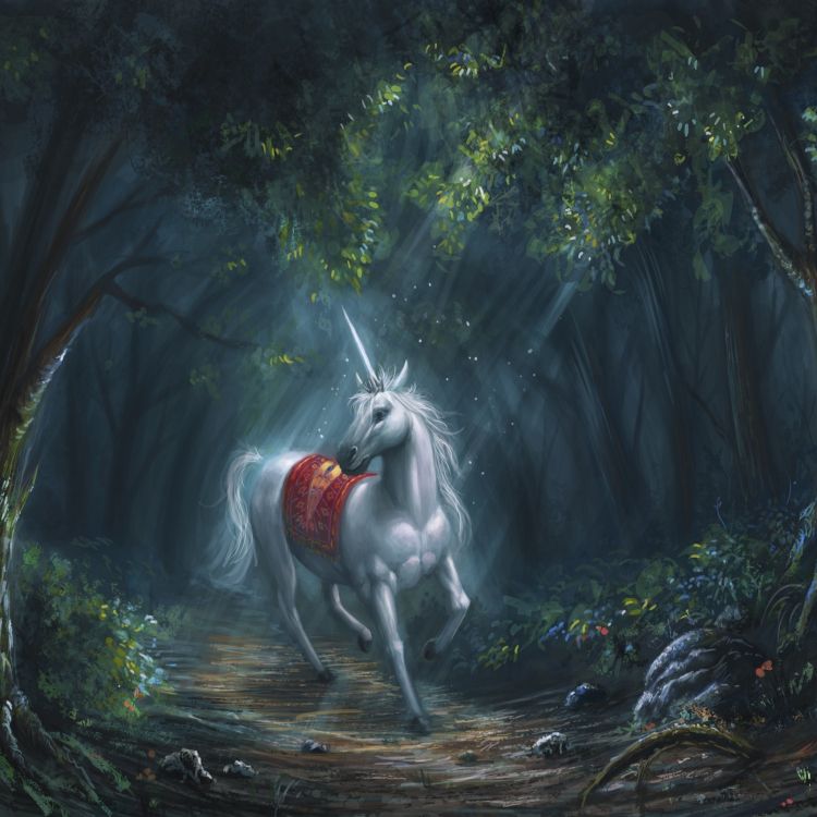独角兽 艺术 神秘的生物 森林 视觉艺术高清壁纸 幻想图片 桌面背景和图片