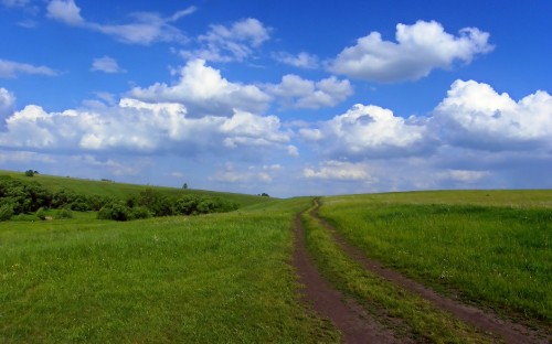 Image green grass field under blue sky and white clouds during daytime