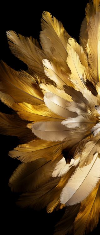 Oppo Find N3 Flip, OPPO, 50 Mégapixels, Smartphone, Dual SIM. Wallpaper in 1080x2520 Resolution