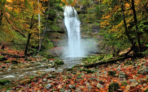 Image water falls in forest during daytime