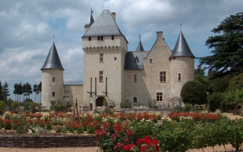 Image red flowers in front of gray concrete castle