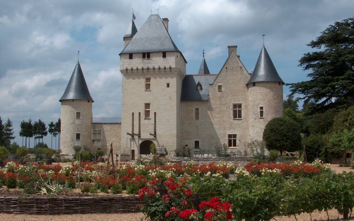 red flowers in front of gray concrete castle