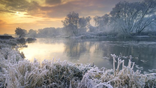 Image body of water near trees during daytime