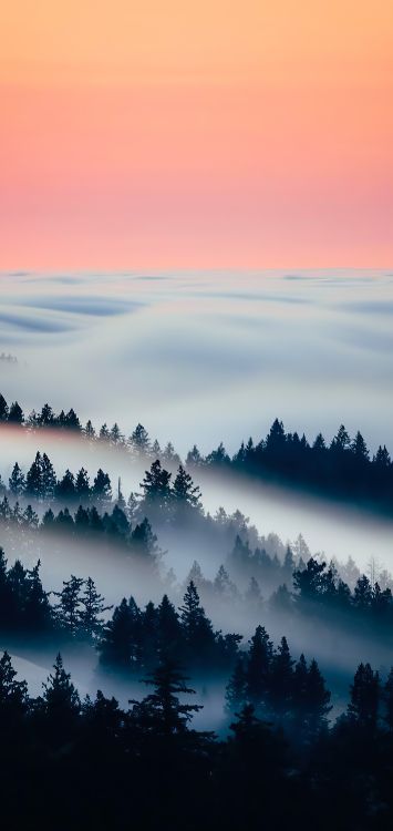 Atmosphère, la Journée, L'écorégion, Paysage Naturel, Environnement Naturel. Wallpaper in 1420x3000 Resolution