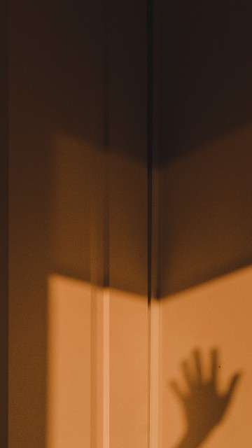 Image brown wooden door with white wall