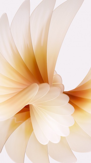 Image artificial flower, oppo find n2 flip 256gb, OPPO, smartphone