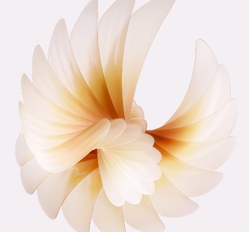 Image artificial flower, oppo find n2 flip 256gb, OPPO, smartphone