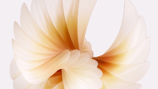 Image artificial flower, oppo find n2 flip 256gb, OPPO, smartphone