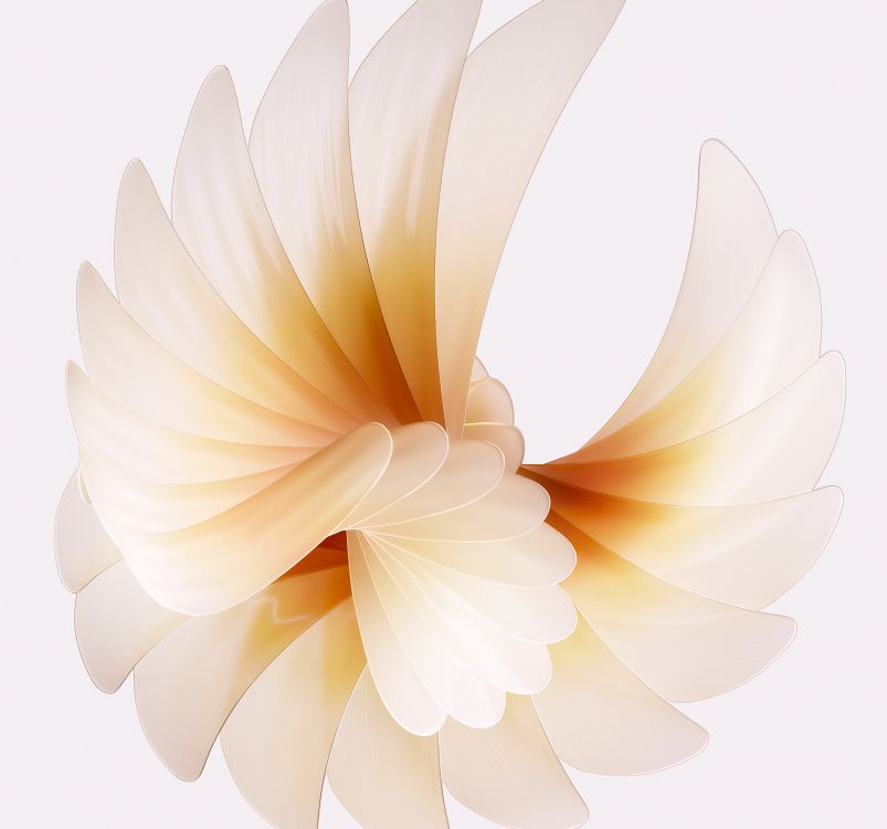 artificial flower, oppo find n2 flip 256gb, OPPO, smartphone