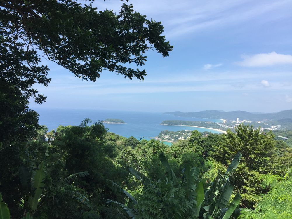 vegetation, mount scenery, biome, water, rainforest