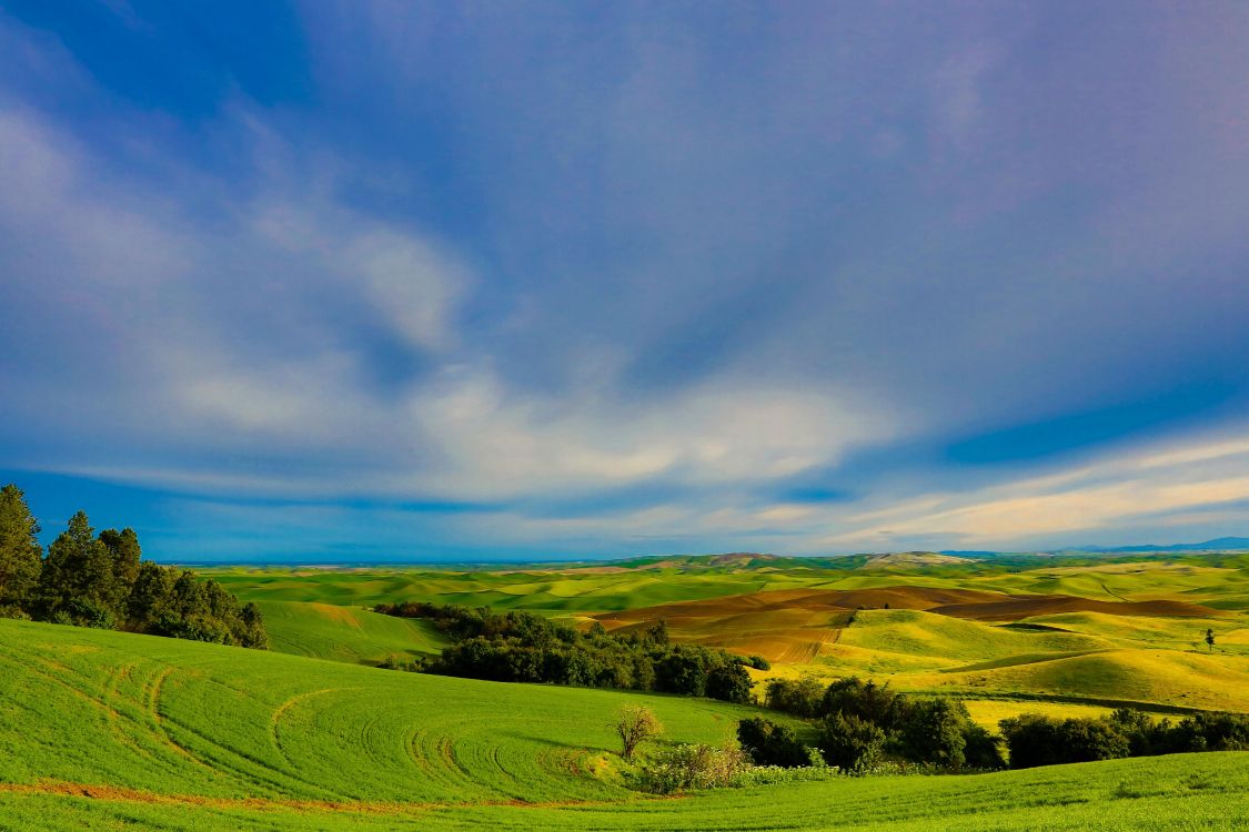 Champ D'herbe Verte Sous Ciel Bleu Pendant la Journée. Wallpaper in 5760x3840 Resolution