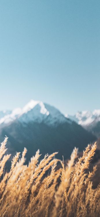 Alpes, Neige, Paysage Naturel, Pente, Highland. Wallpaper in 1797x3889 Resolution