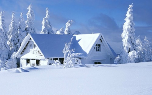 Image white and gray house near snow covered trees