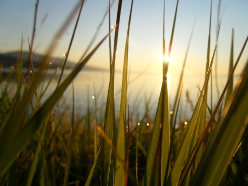 Image green grass field during daytime