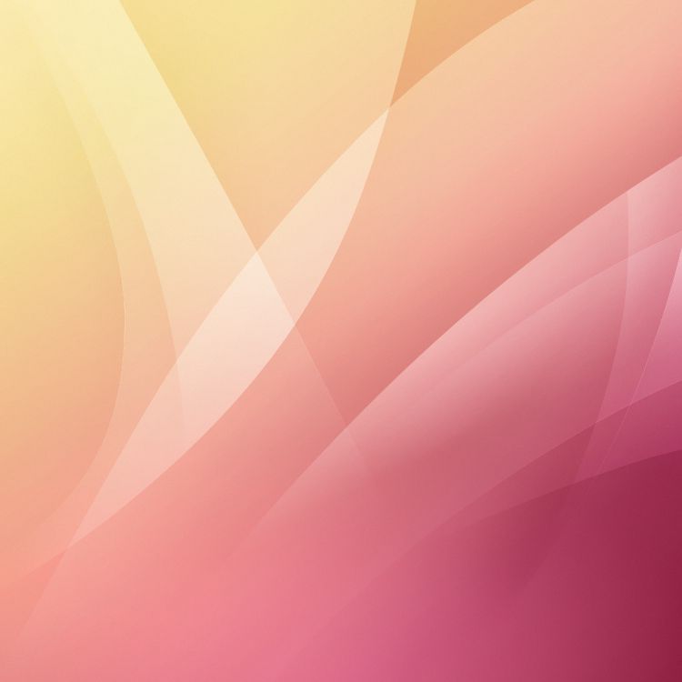 Orange, Brown, Colorfulness, Pink, Tints and Shades. Wallpaper in 3208x3208 Resolution
