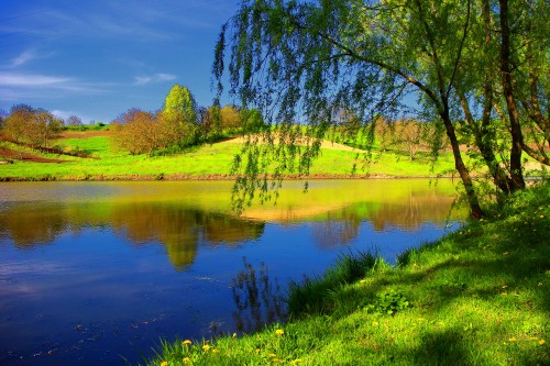 Image green grass field near lake during daytime