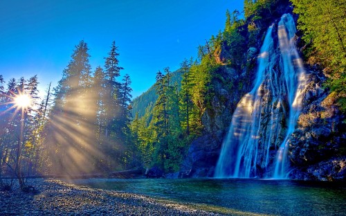 Image green trees near water falls during daytime