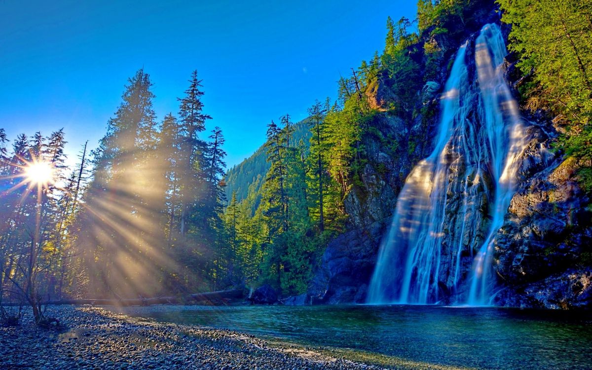 green trees near water falls during daytime