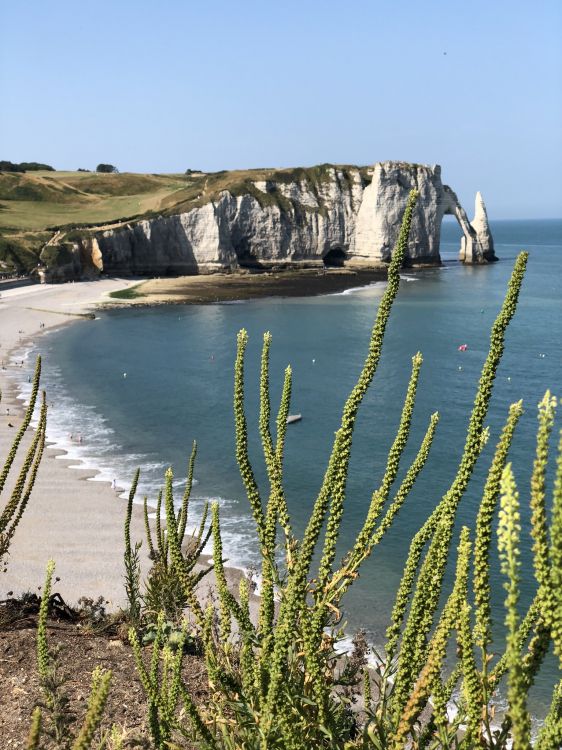 Falaise D'aval, Eau, Corps de L'eau, Côte, Rive. Wallpaper in 1536x2048 Resolution