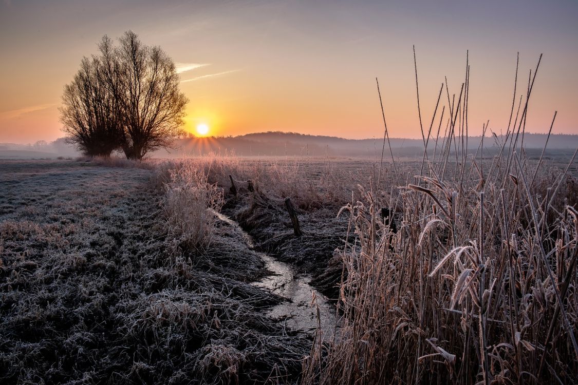 Gras, Naturlandschaft, Atmosphäre, Horizont, Sonnenaufgang. Wallpaper in 4896x3264 Resolution