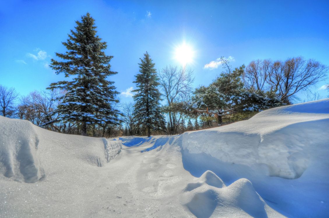 Pins Verts Sur Sol Couvert de Neige Sous Ciel Bleu Pendant la Journée. Wallpaper in 2048x1360 Resolution