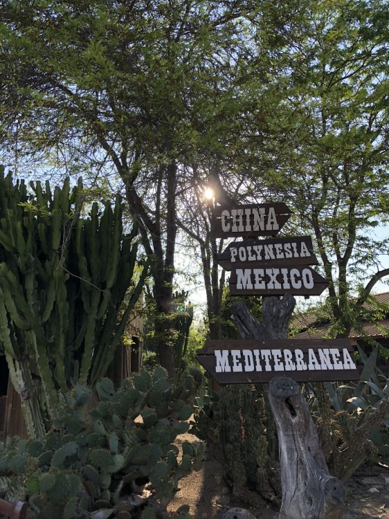 陆地上的植物 壁纸 1536x2048 允许