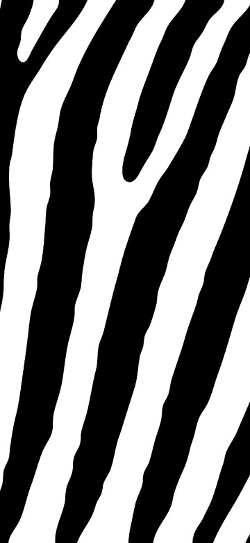 Image black and white striped illustration
