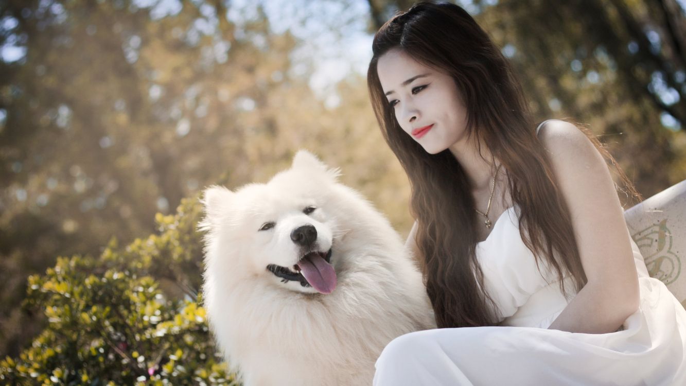 Spitz, 品种的狗, 皮肤, 伴侣的狗, 歌词 壁纸 3840x2160 允许