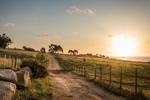 Image gray dirt road between green grass field under white clouds during daytime